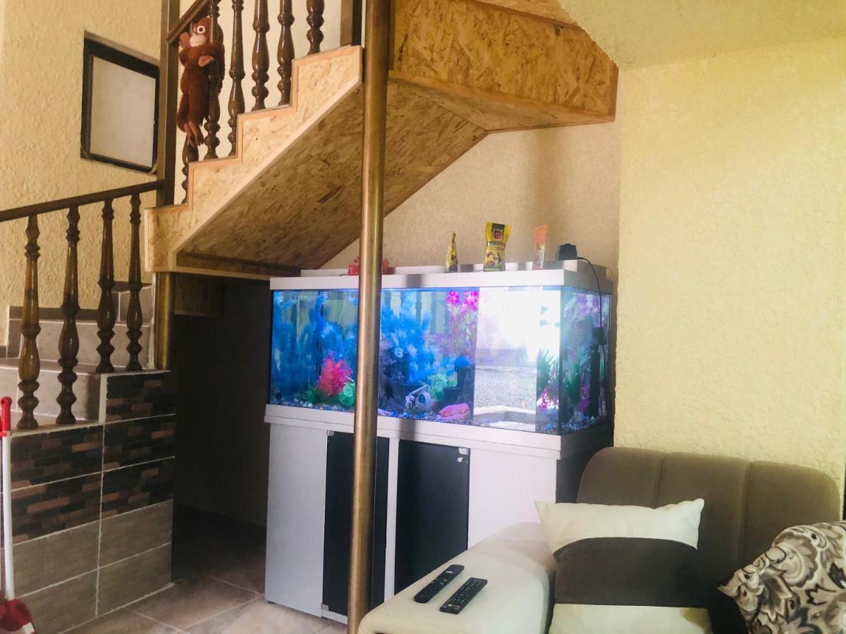 בישקק Sweet Home Hostel מראה חיצוני תמונה